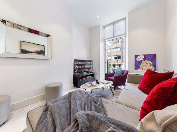 Harley Street Luxury Snug Apartment Лондон Екстериор снимка