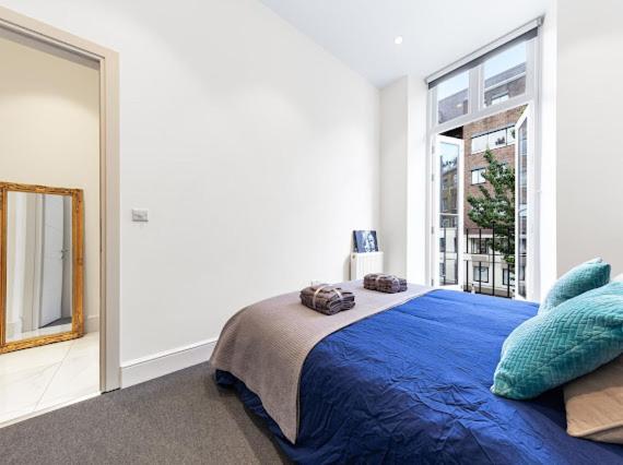 Harley Street Luxury Snug Apartment Лондон Екстериор снимка