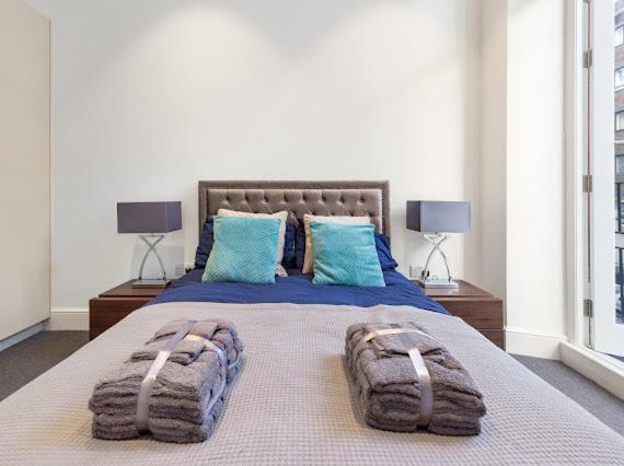 Harley Street Luxury Snug Apartment Лондон Екстериор снимка